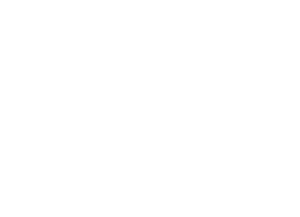 netcore