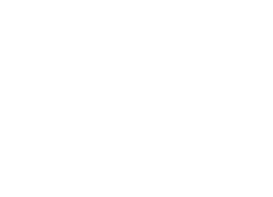 zameen