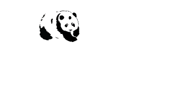Asset-8